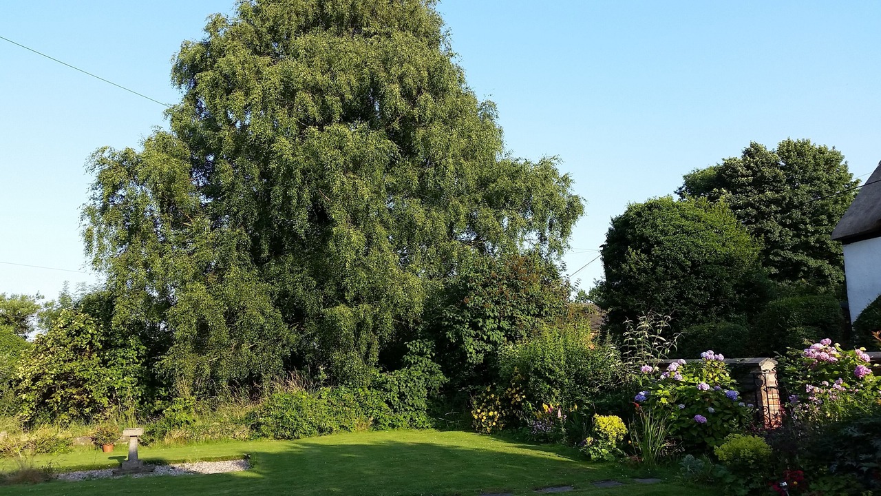 Photo of Bedroom in Mackworth