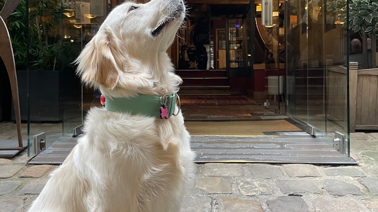 Photo of Others in Les Iles