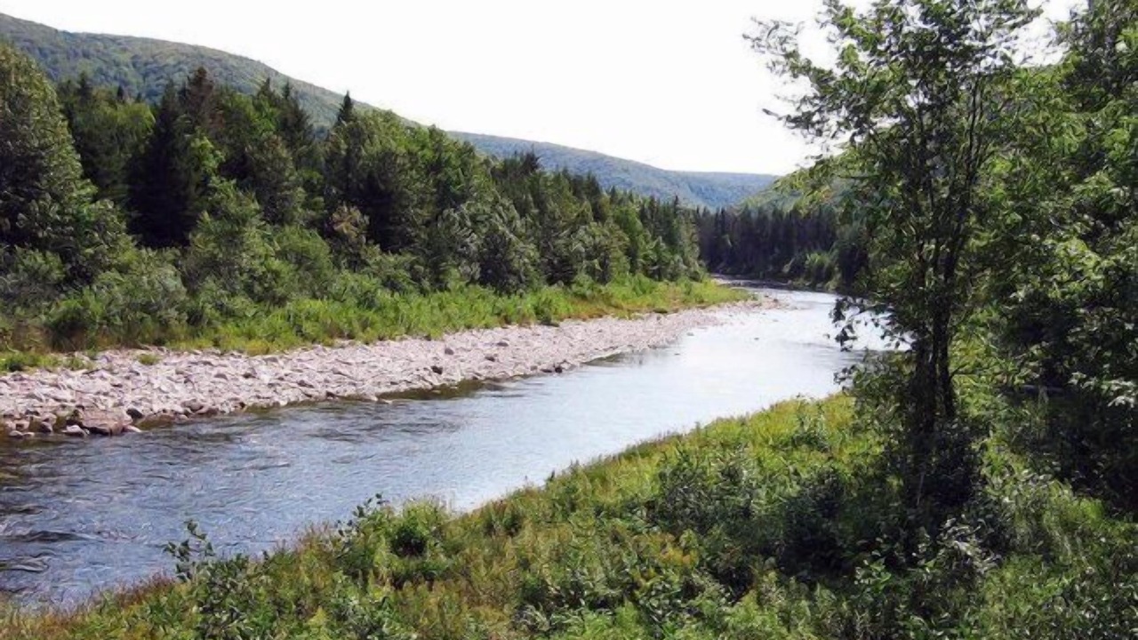 Photo of Outdoor in Margaree Valley