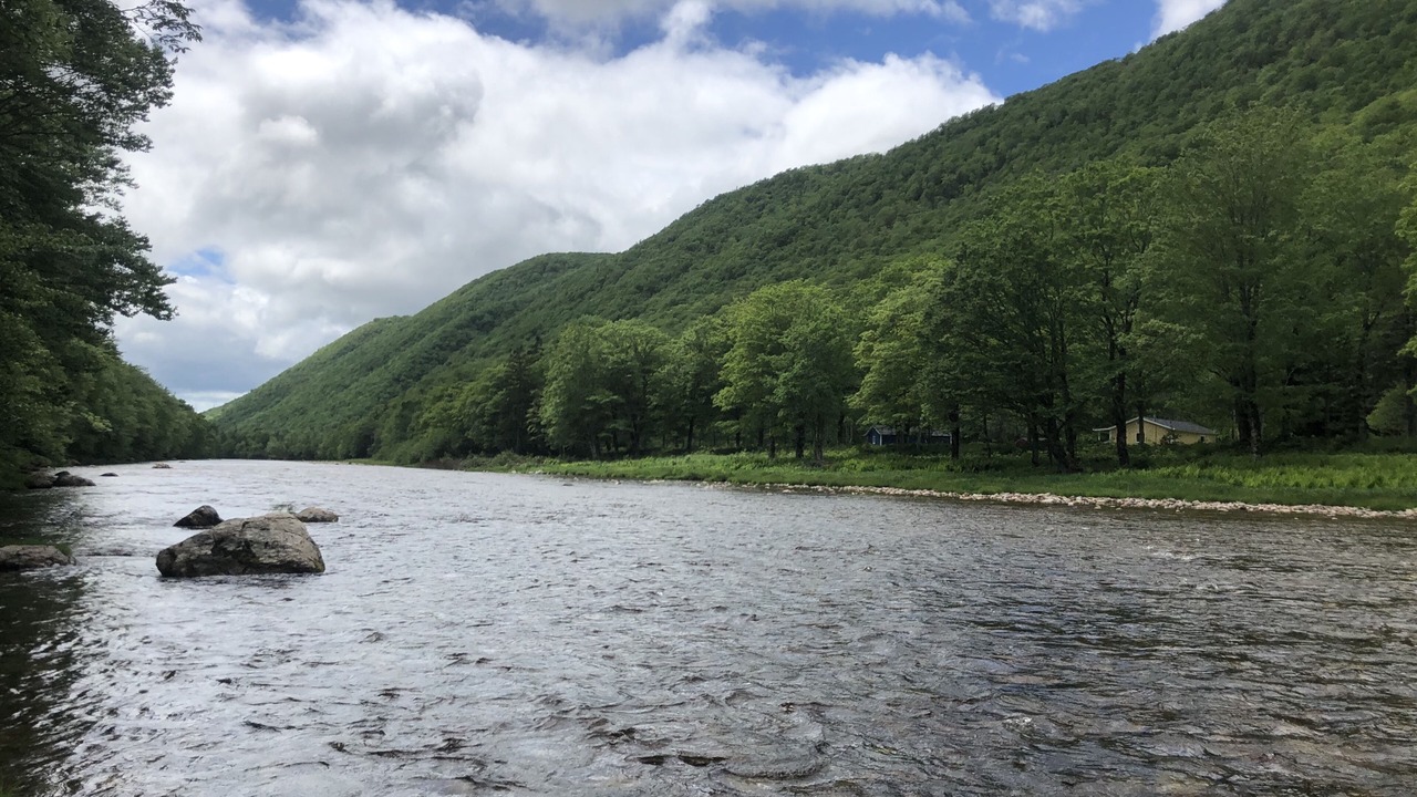 Photo of Outdoor in Margaree Valley