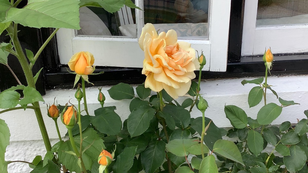 Photo of Outdoor in New Galloway