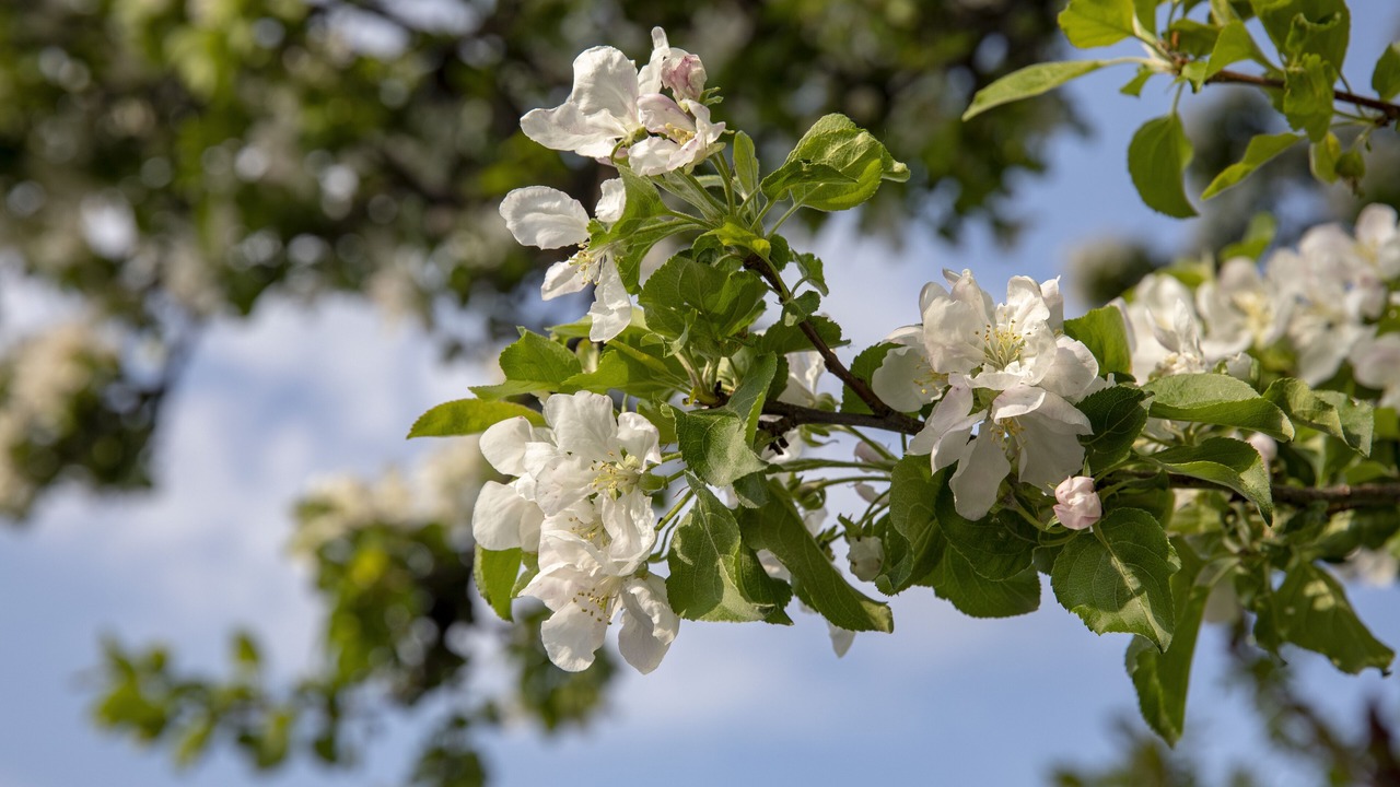 Photo of Outdoor in Sister Bay