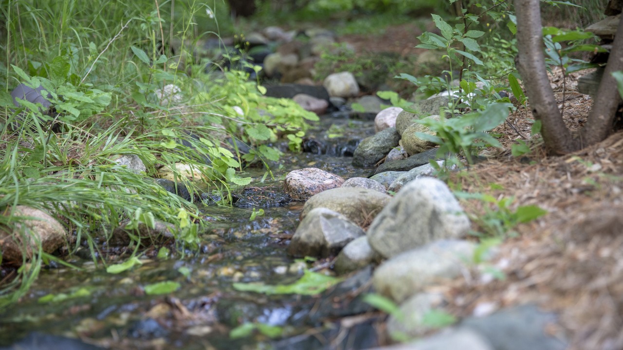 Photo of Others in Sister Bay
