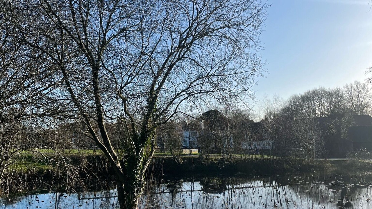 Photo of Others in Chiddingfold