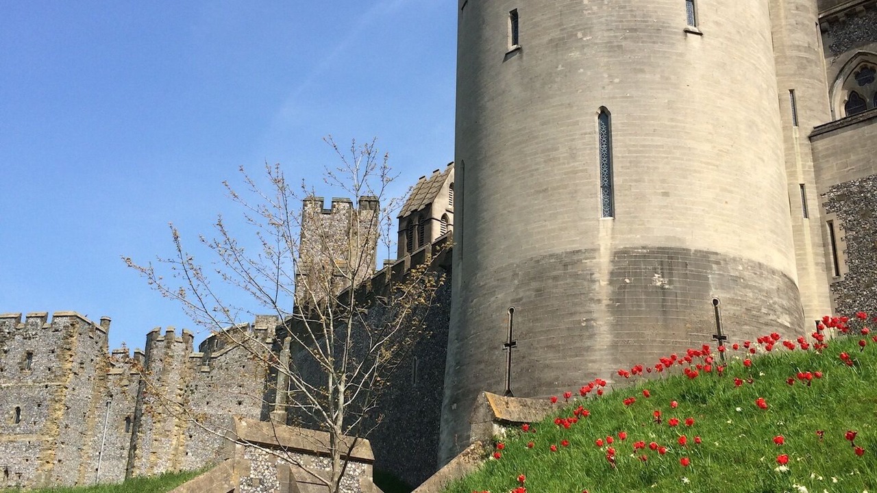 Photo of Others in Chiddingfold