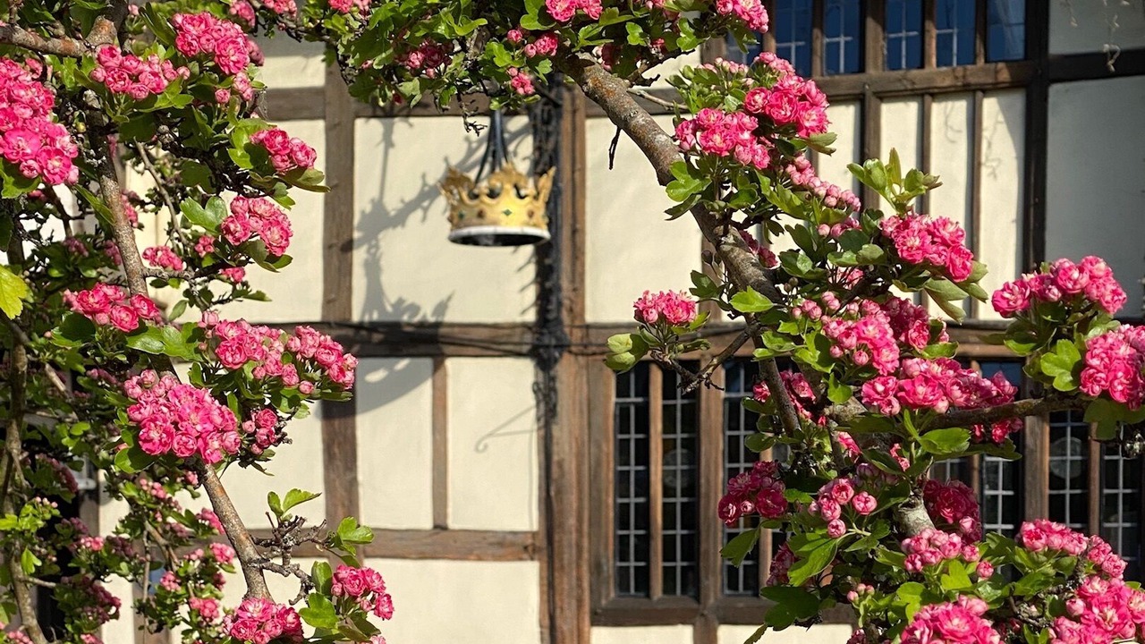 Photo of Outdoor in Chiddingfold