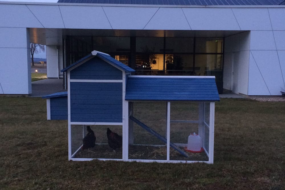 Photo of Outdoor in Morhange