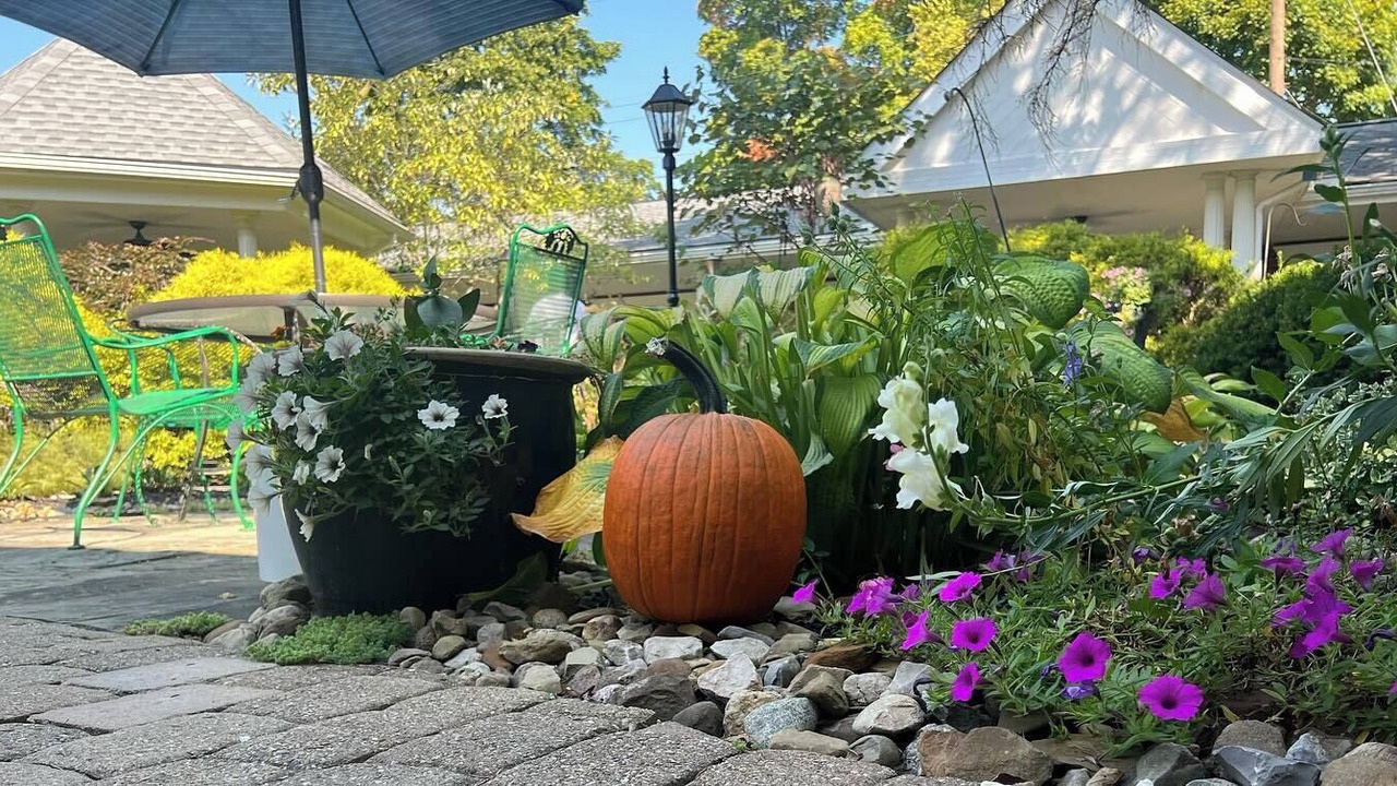 Photo of Outdoor in Mount Vernon