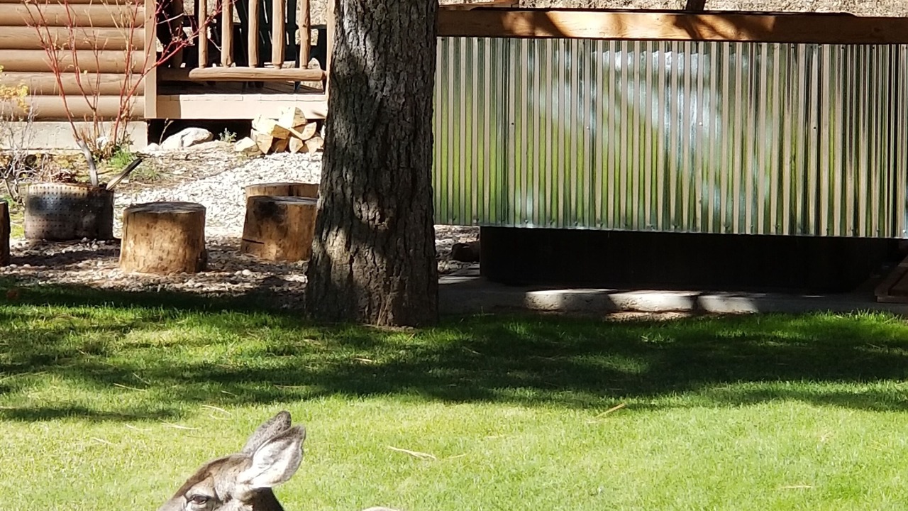 Photo of Buildings in Lowman