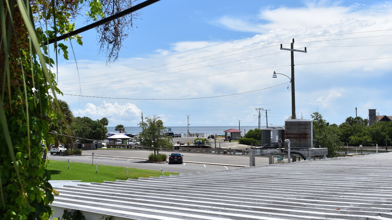 Photo of Others in Cedar Key