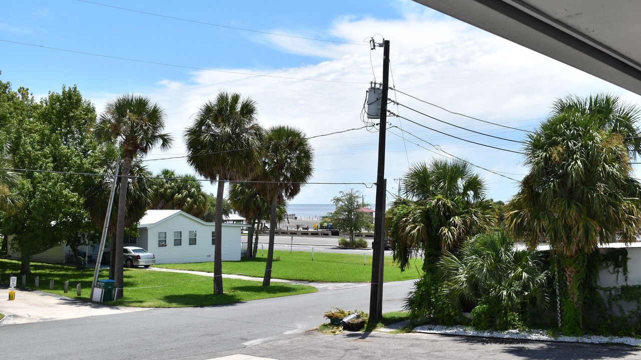 Photo of Others in Cedar Key