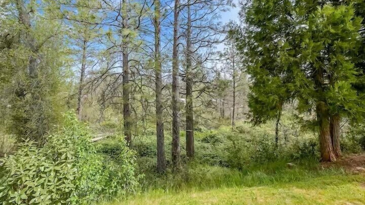 Photo of Others in Brownsville