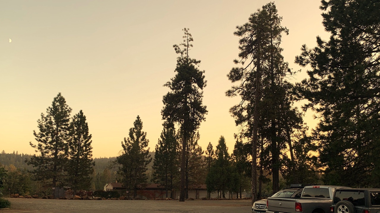 Photo of Outdoor in Brownsville