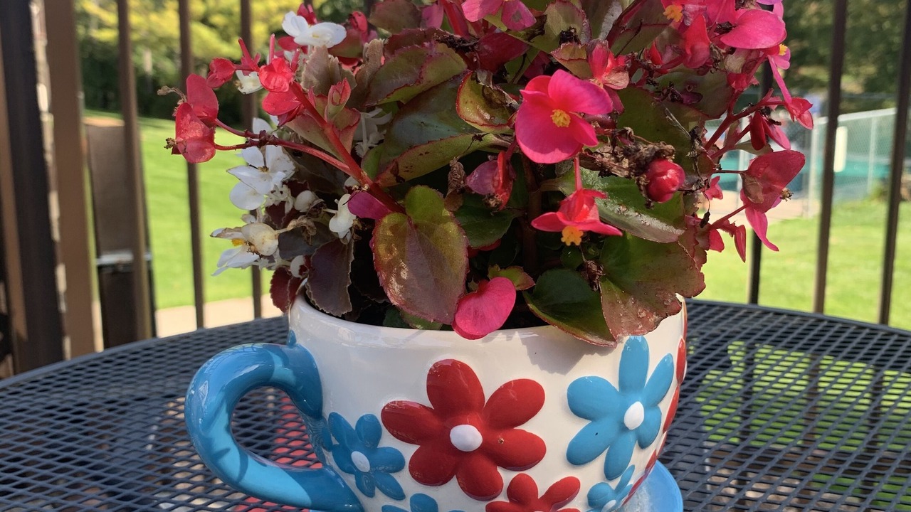 Photo of Outdoor in Sister Bay