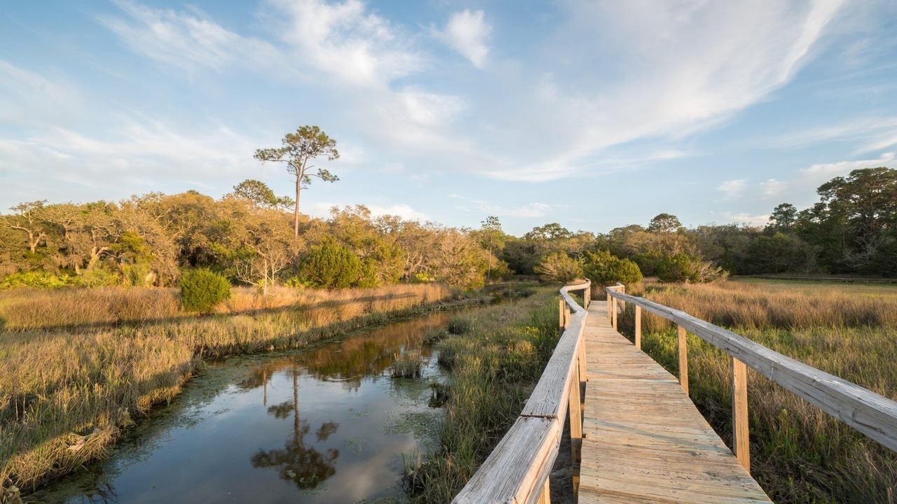 Photo of Others in Fernandina Beach