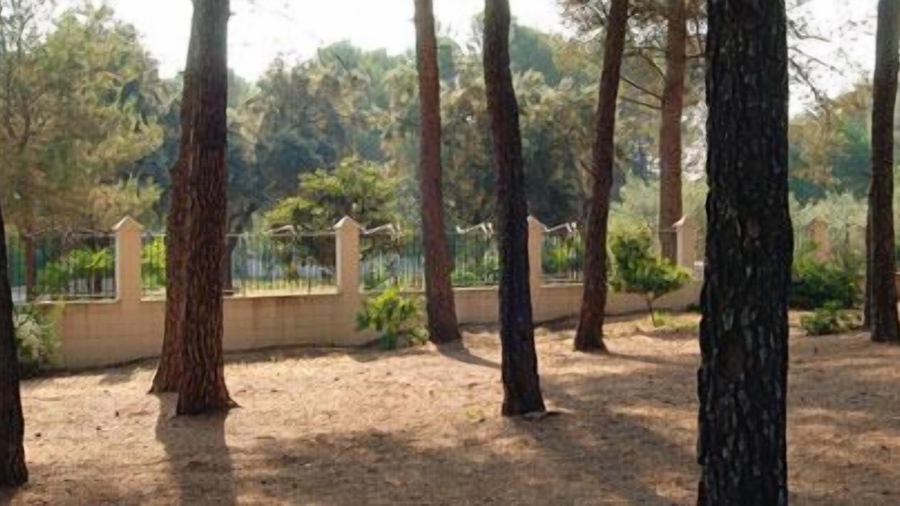 Photo of Outdoor in Villalonga