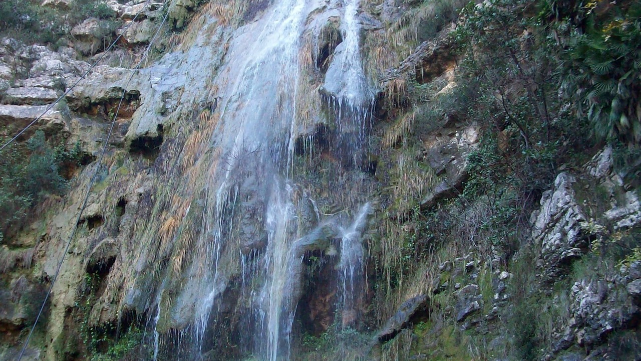 Photo of Others in Villalonga