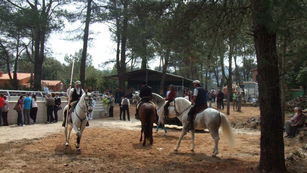 Photo of Others in Villalonga
