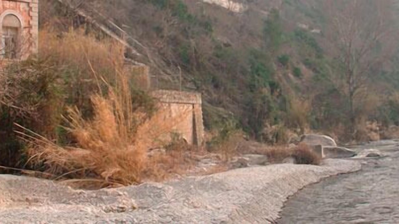 Photo of Outdoor in Villalonga