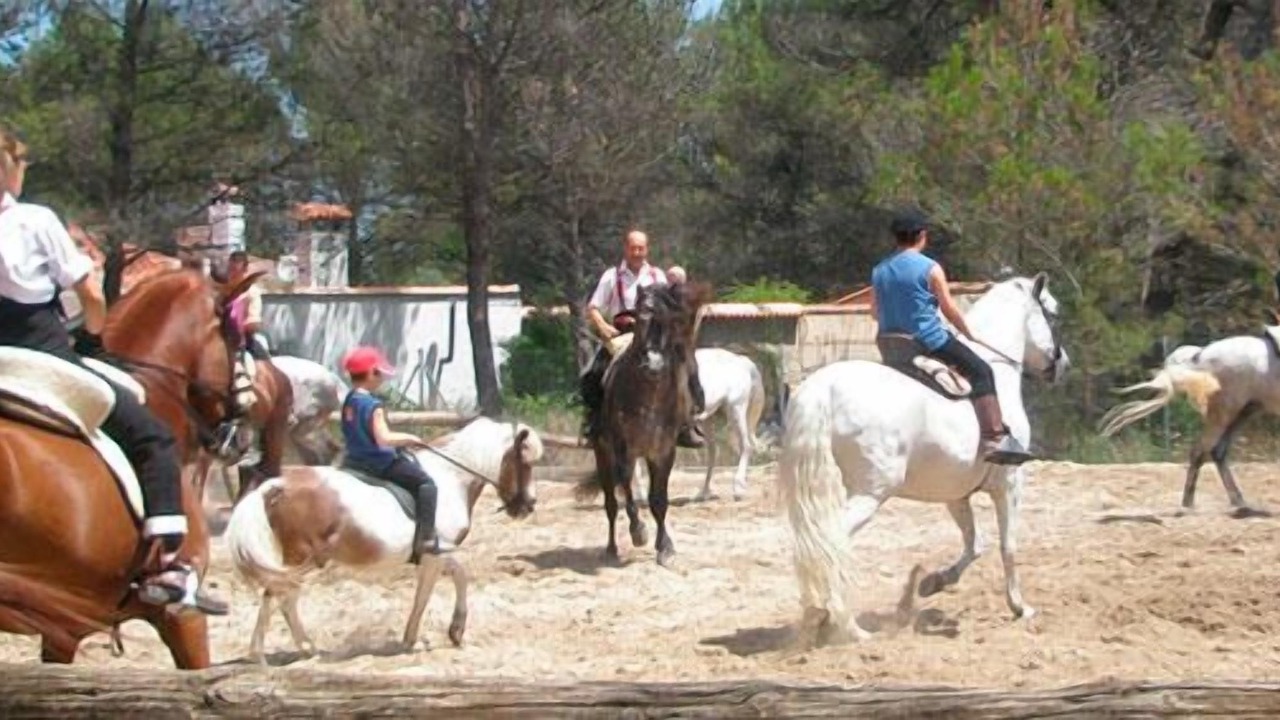Photo of Others in Villalonga