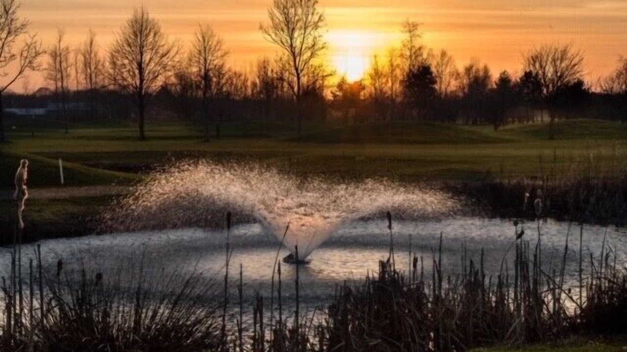 Photo of Others in Chackmore