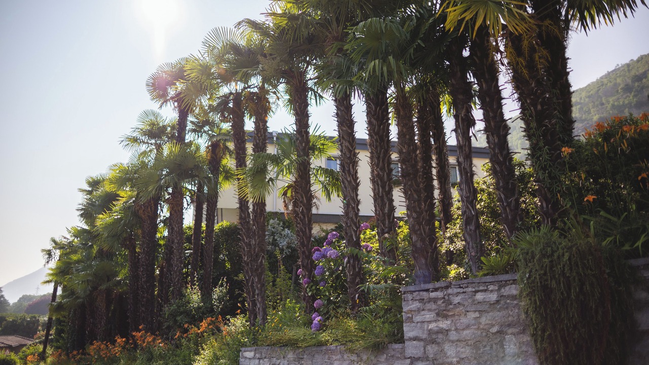 Photo of Outdoor in Tegna