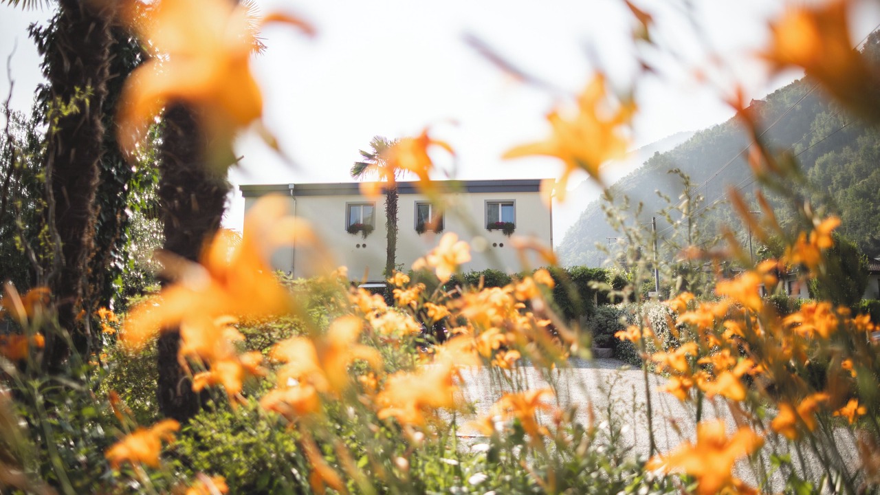 Photo of Outdoor in Tegna