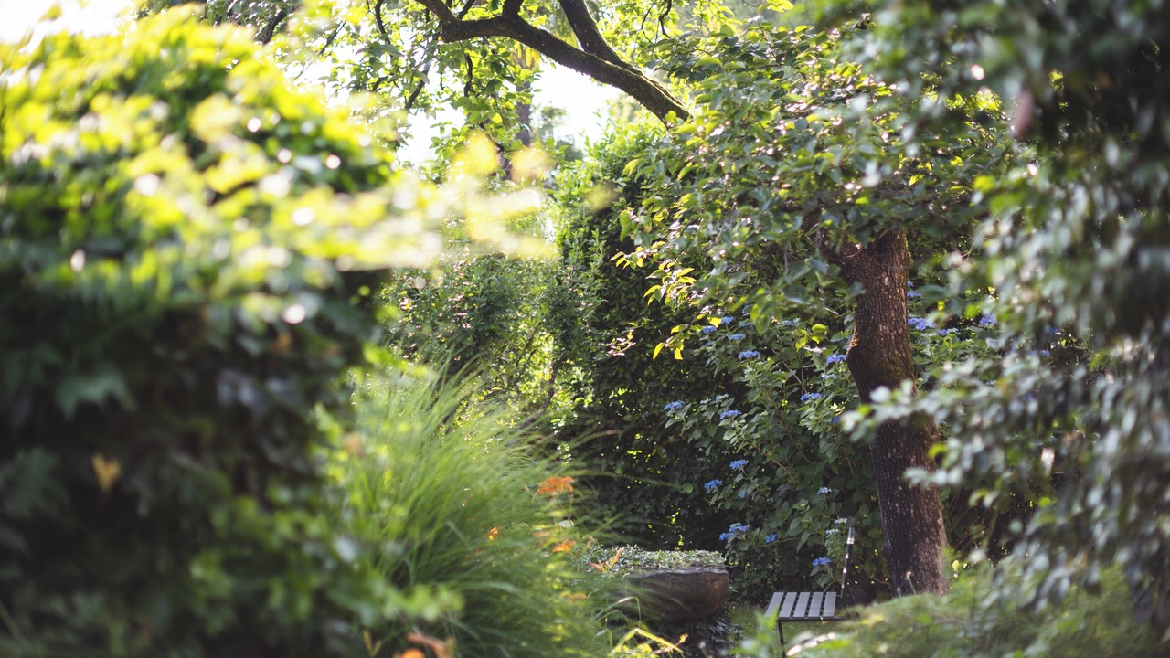 Photo of Outdoor in Tegna