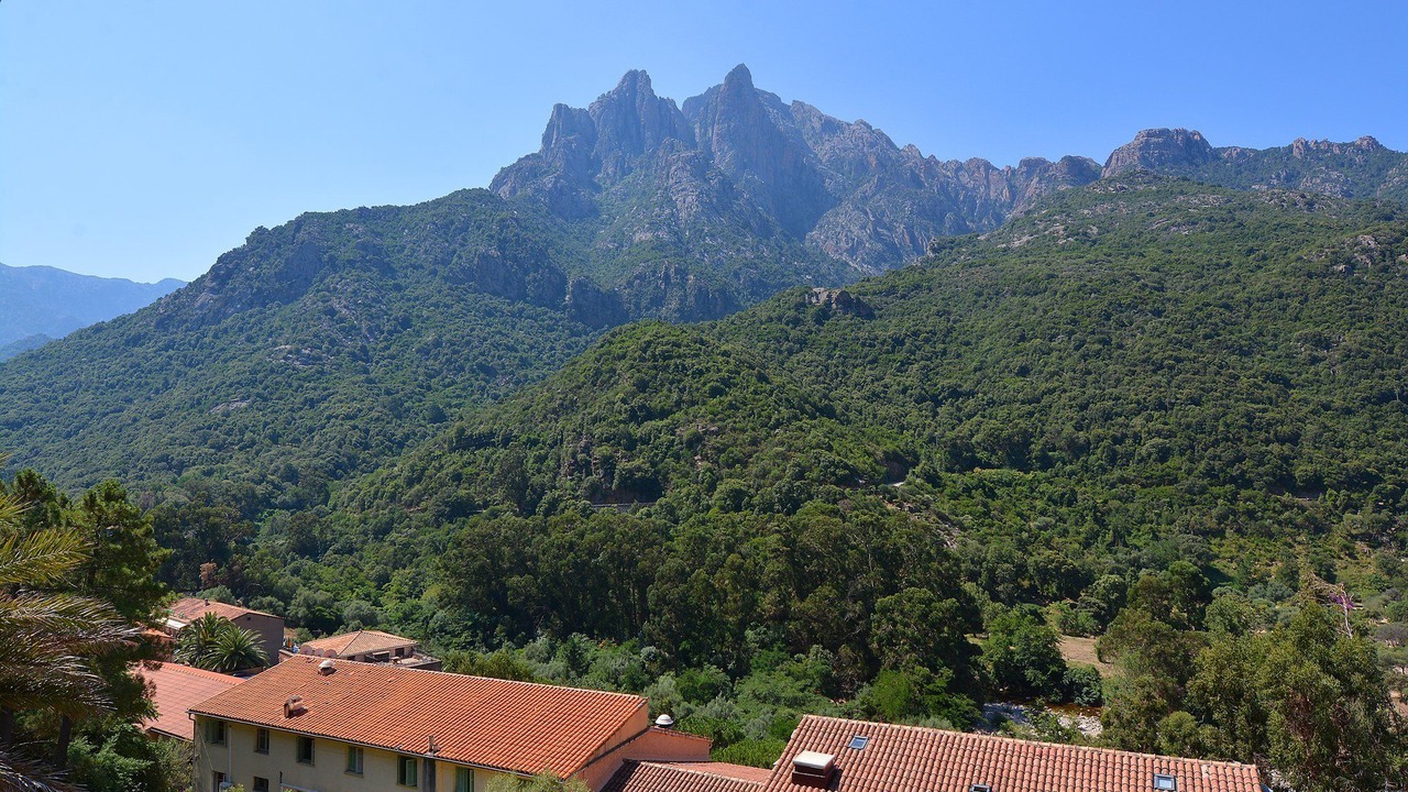 Photo of Others in Porto