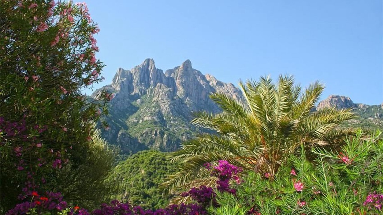 Photo of Outdoor in Porto