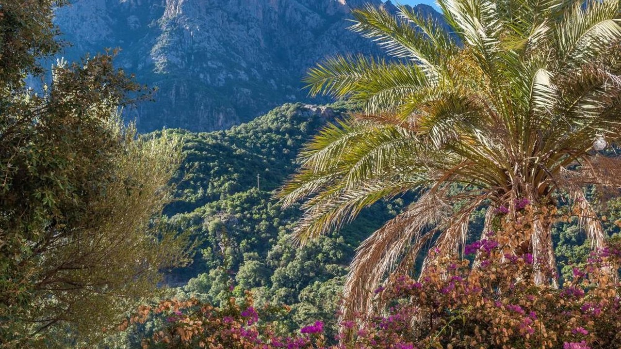 Photo of Outdoor in Porto