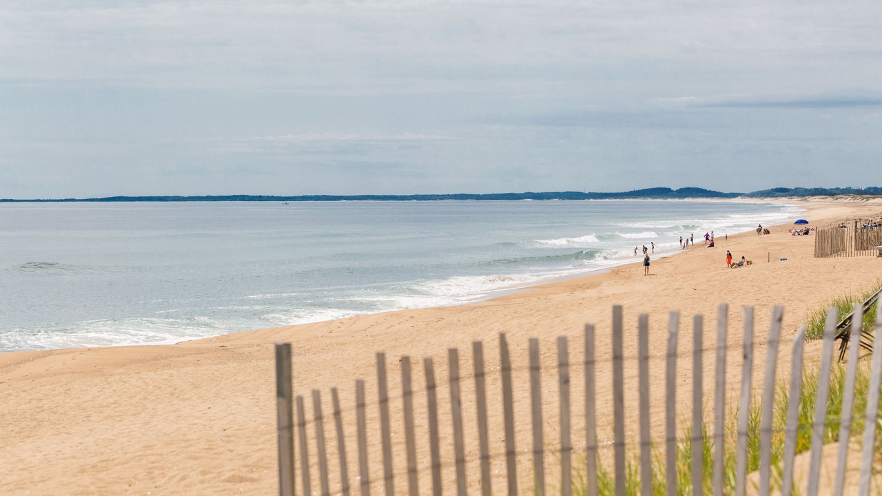 Photo of Others in Newbury