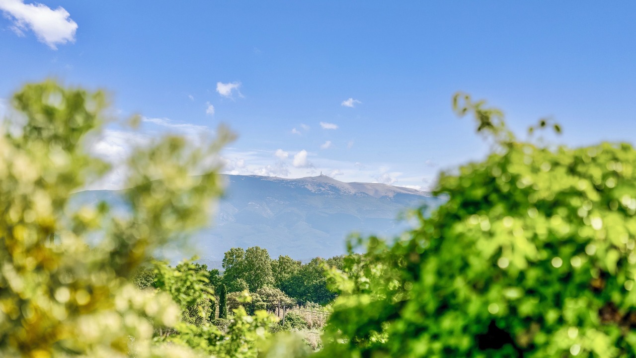 Photo of Others in Saint-Didier