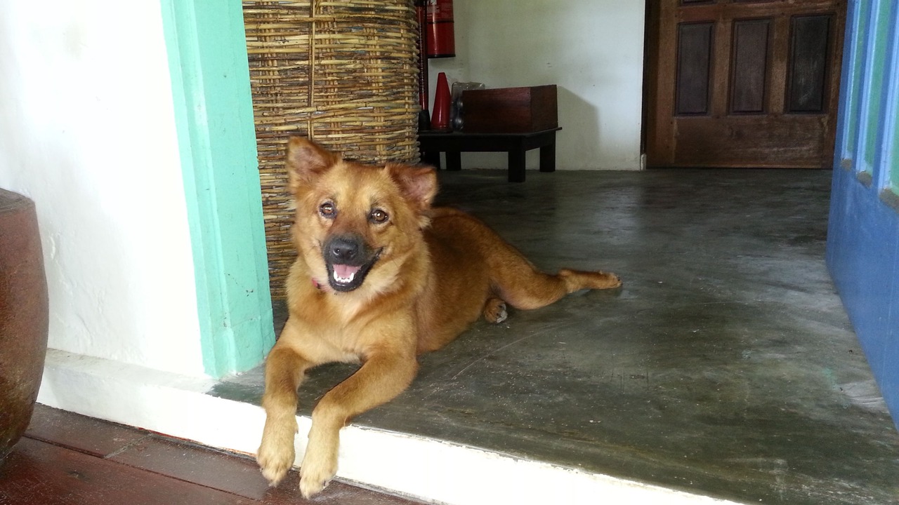 Photo of Others in Bintan