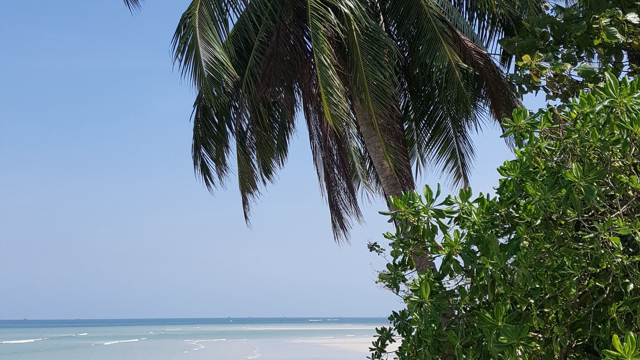 Photo of Others in Bintan