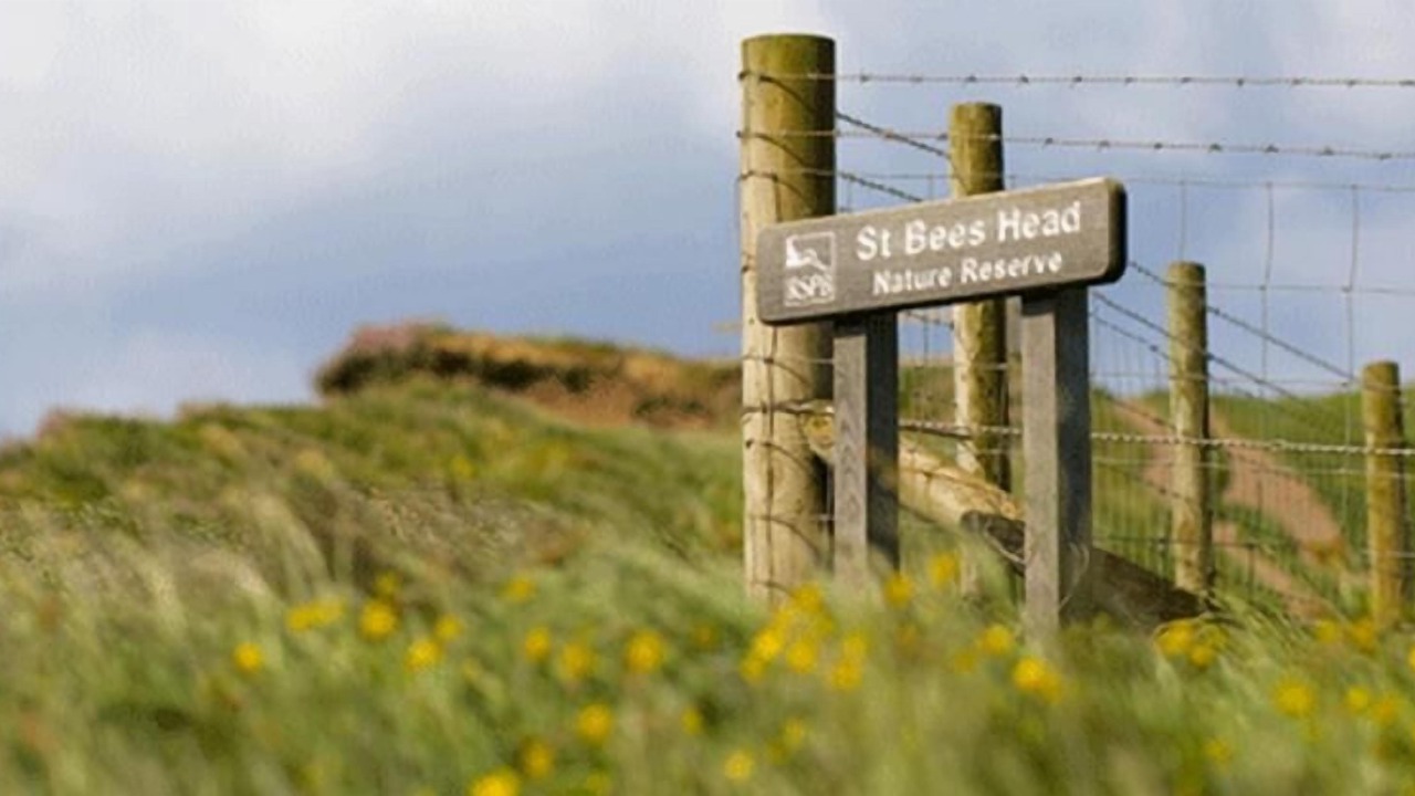 Photo of Outdoor in St Bees