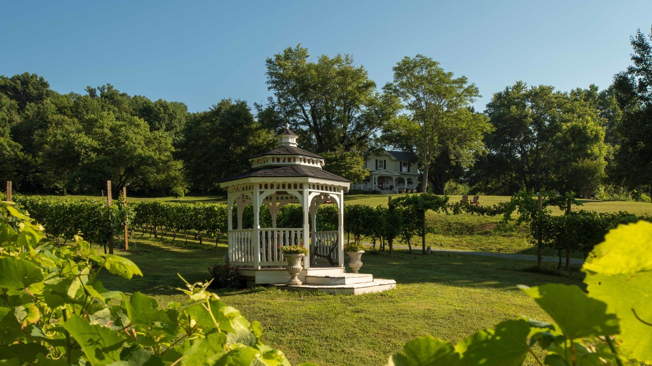 Photo of Outdoor in Lovingston