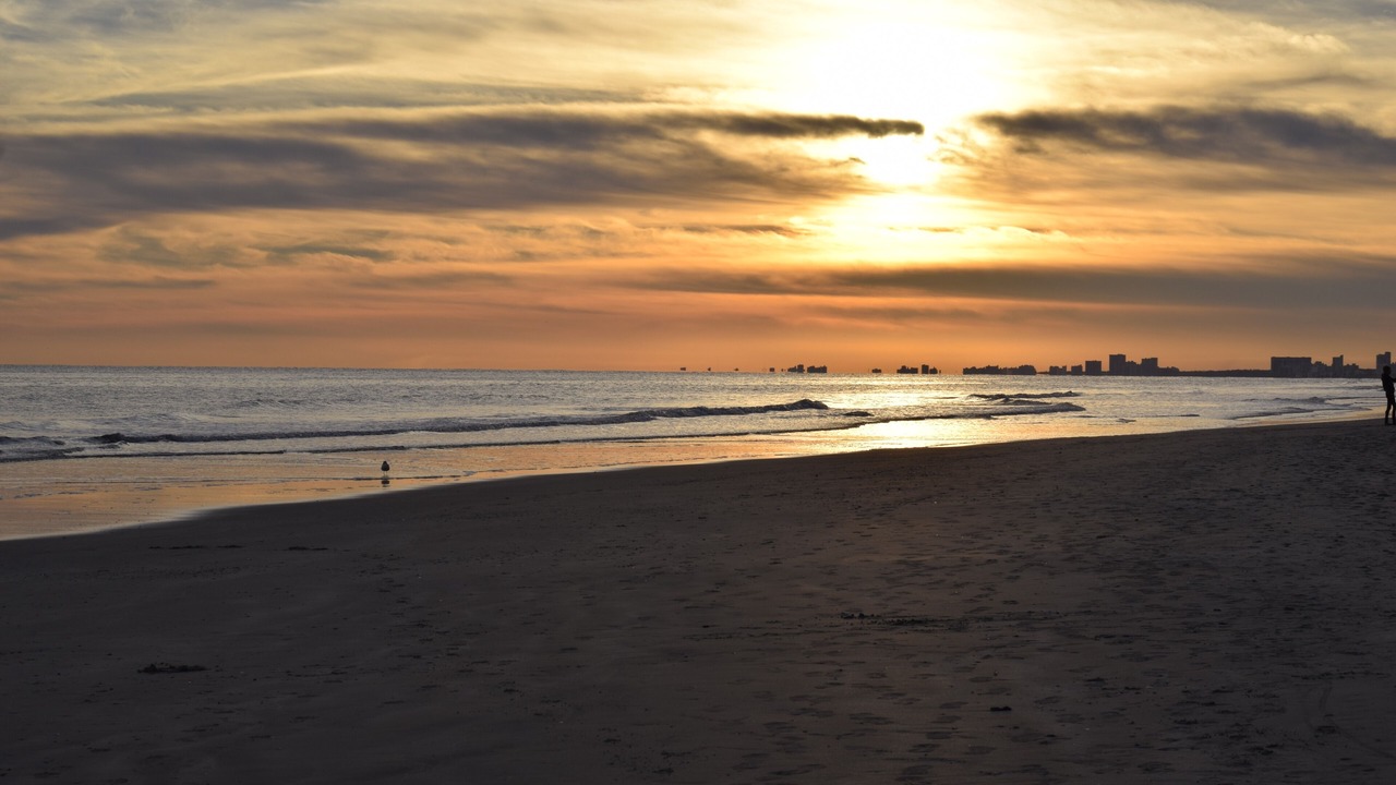 Photo of Others in Cherry Grove Beach
