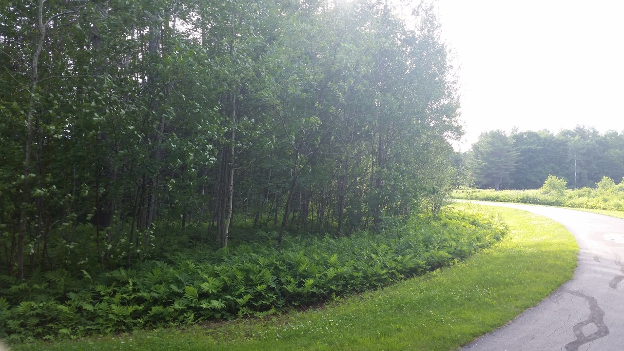 Photo of Outdoor in Bethel