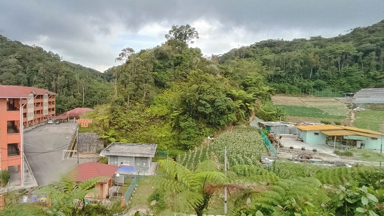 Photo of Outdoor in Tanah Rata