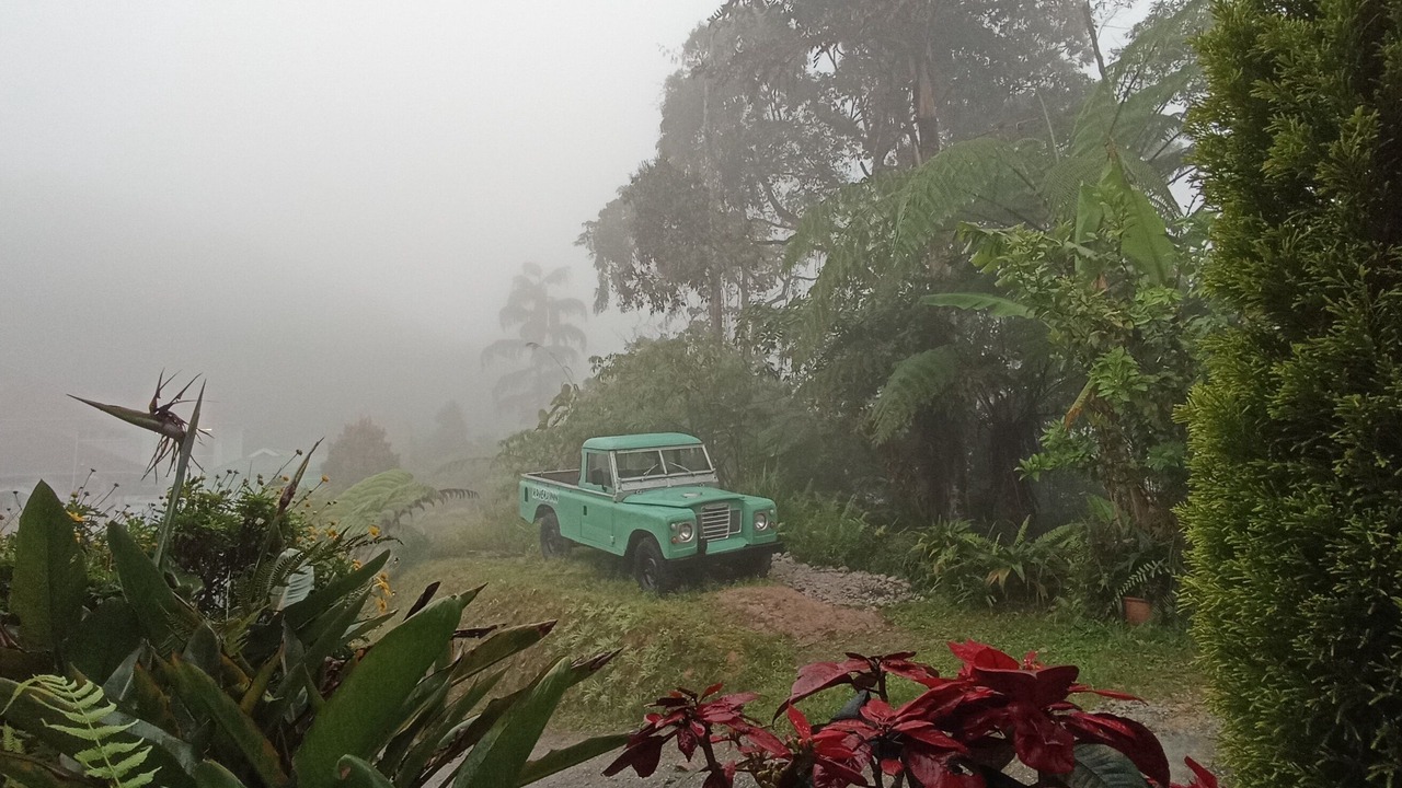 Photo of Outdoor in Tanah Rata