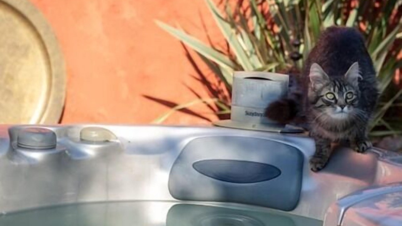 Photo of Outdoor in Pierry