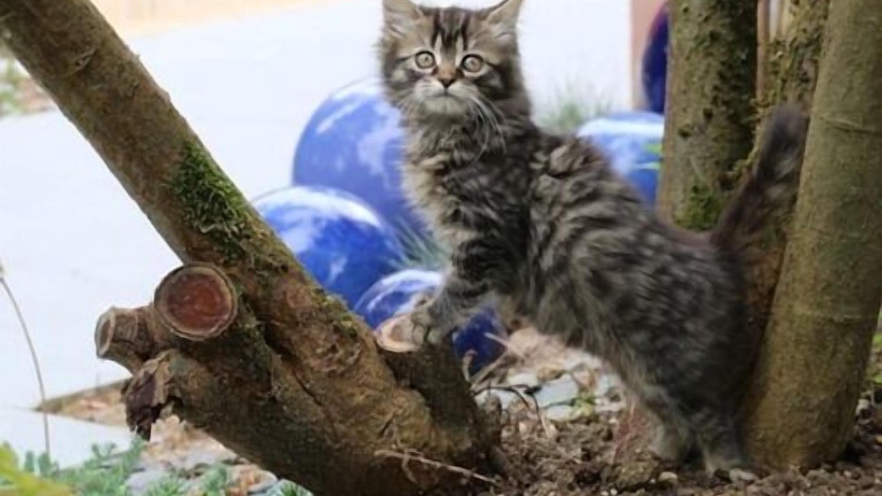 Photo of Outdoor in Pierry