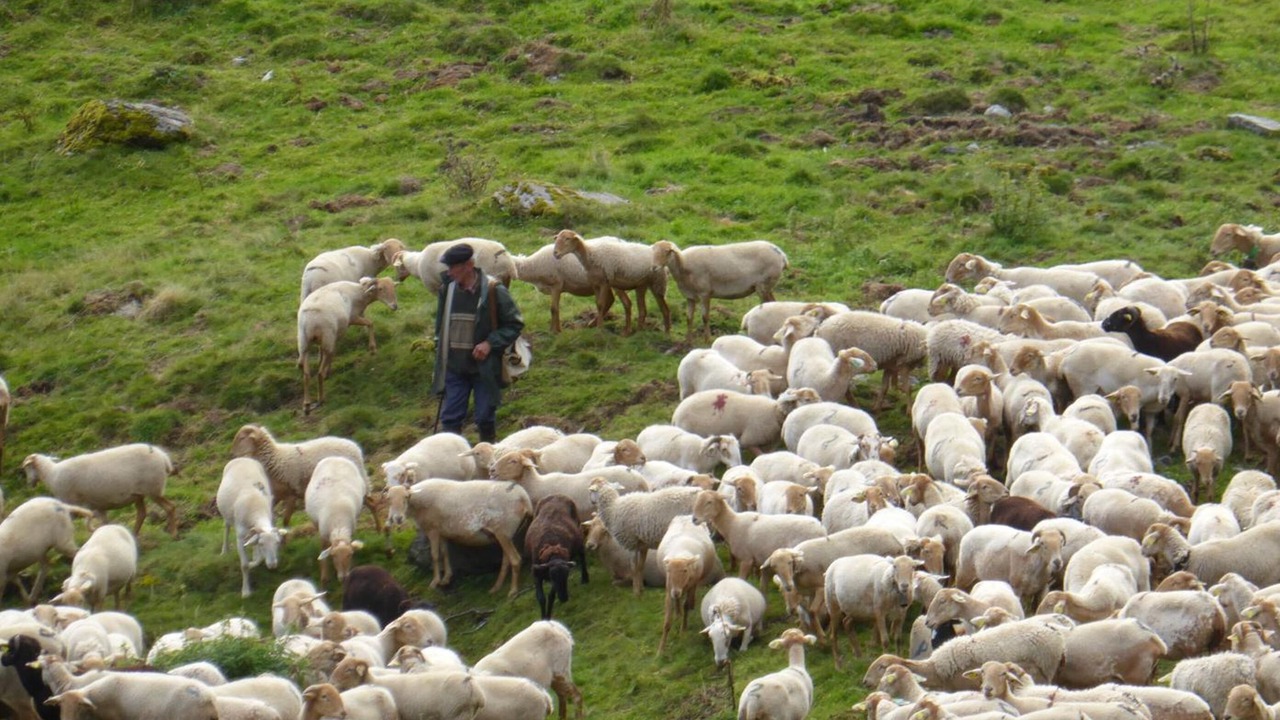 Photo of Outdoor in Loubieres
