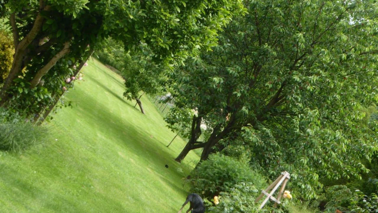 Photo of Outdoor in Loubieres