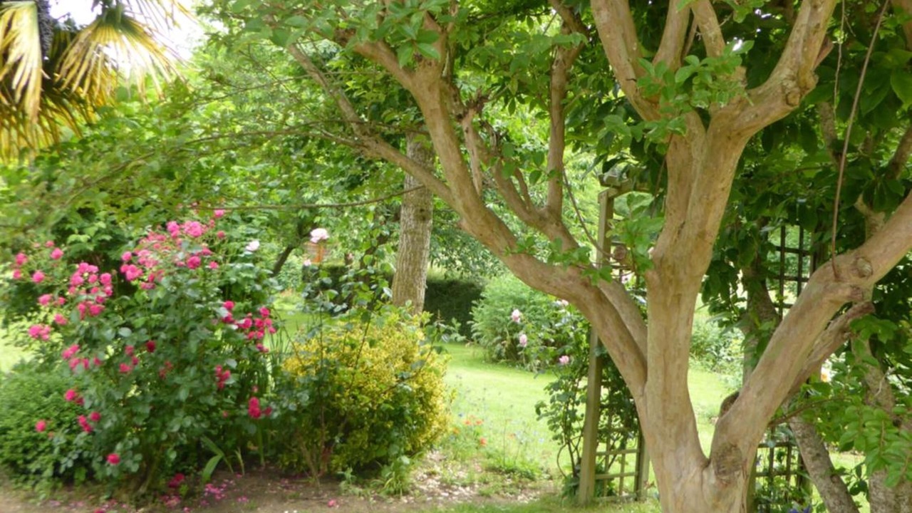 Photo of Outdoor in Loubieres