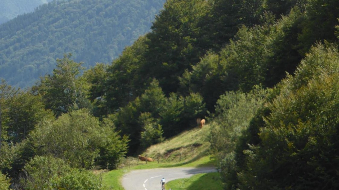 Photo of Others in Loubieres