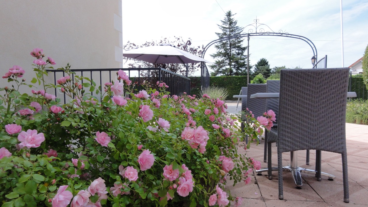 Photo of Patio Balcony in Chisseaux