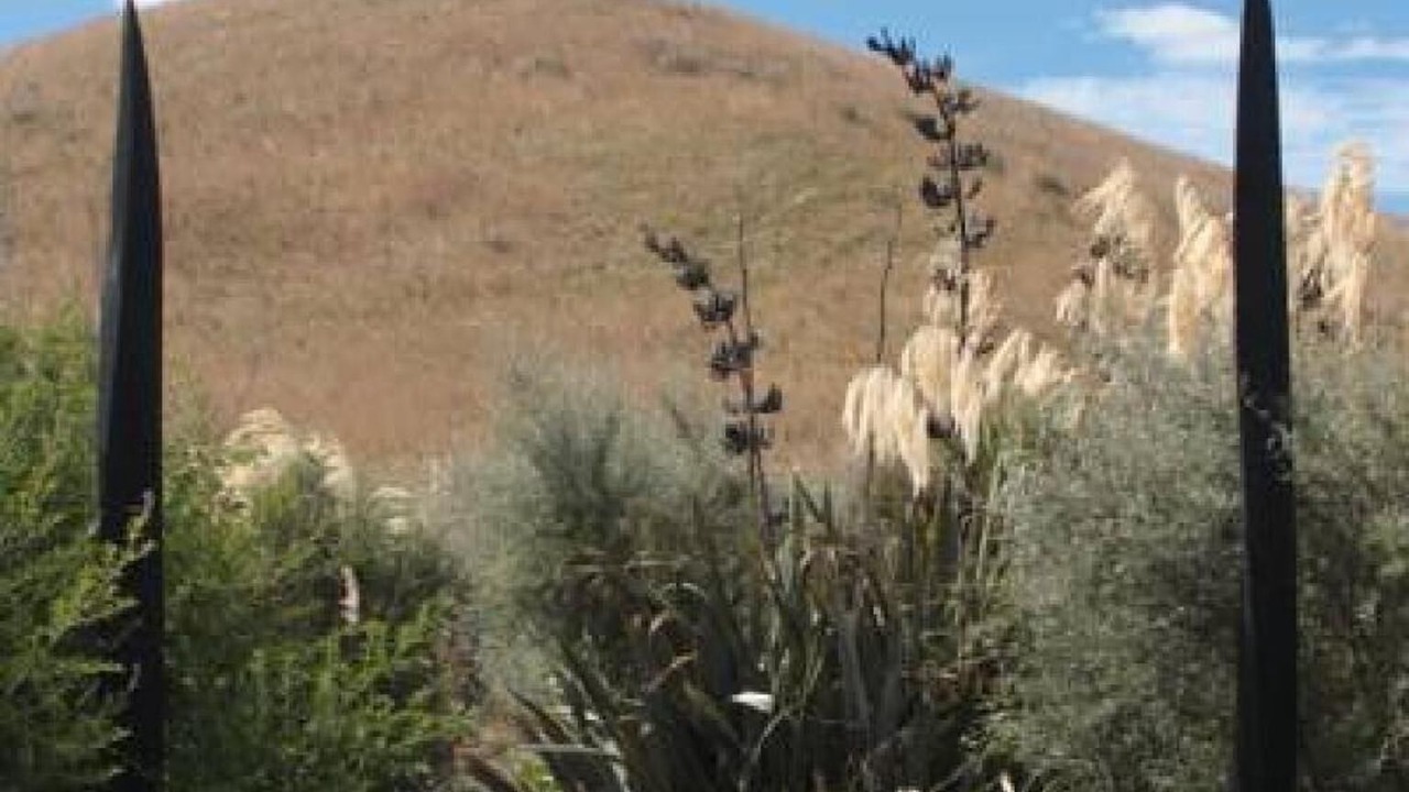 Photo of Outdoor in Awamoa