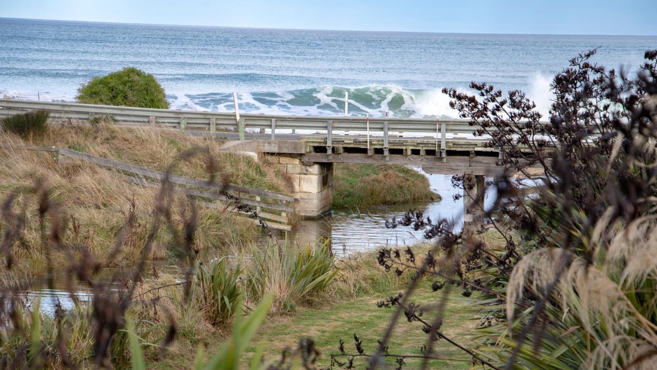 Photo of Others in Awamoa